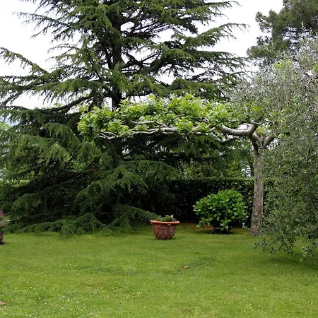 Il Buongustaio Massa (Tuscany)